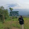 annisa.jamilah16