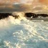 userc0z8c3auv8