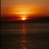 iii_11.77