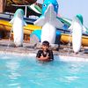 albani.com00