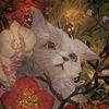 Кот худеет
