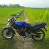 tigersupercruiser_0
