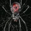 spider2727