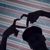 khaa_aboutyou