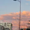 safsaflsr