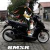 bmsrproject