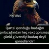 mubarizdaqlaroqlu66