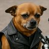 lone_biker_al