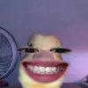chuateloaivit6