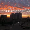 alena_dmitro