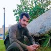 rehanullah8740