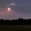 uservynt7lvg8b