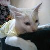 ritta.mariana