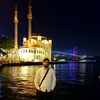 _akber_1995_