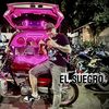 elsalse_