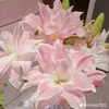 yeupkl40