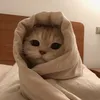 tenxiee