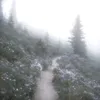 chai_zai
