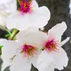 cop230297