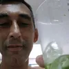luizcarlossoare202