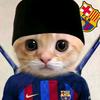 ahmadfansbarca