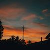 neli_372