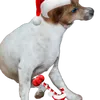 nao.e.eu.nao.1234