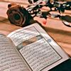 user6130916972441