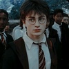 harry_lovesdraco