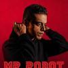 mr.robbot1