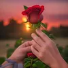 bahar__ddff