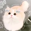 cherry_vy161214