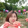 tieudingdang17