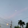 chr_pae