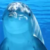 llullunaeduardo