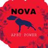 k.9nova_the_apbt