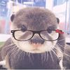 Otterlover<3