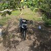 fauzan_xty