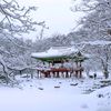 yiushen