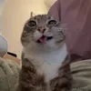 jusiwrldl