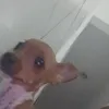 zmendesq