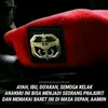 casistni_ad