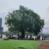 laihuuthao