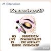 evmonstore29