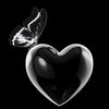 aroojfatima9490