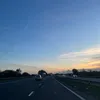daisys_sspam