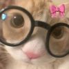 urtotallymystyle