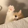 tightlyclosed