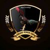peternakmuda.23