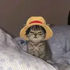 josekkky
